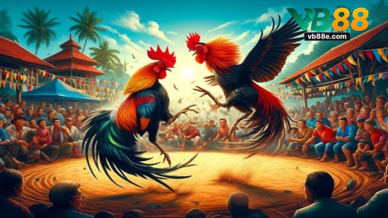 Đá Gà VB88